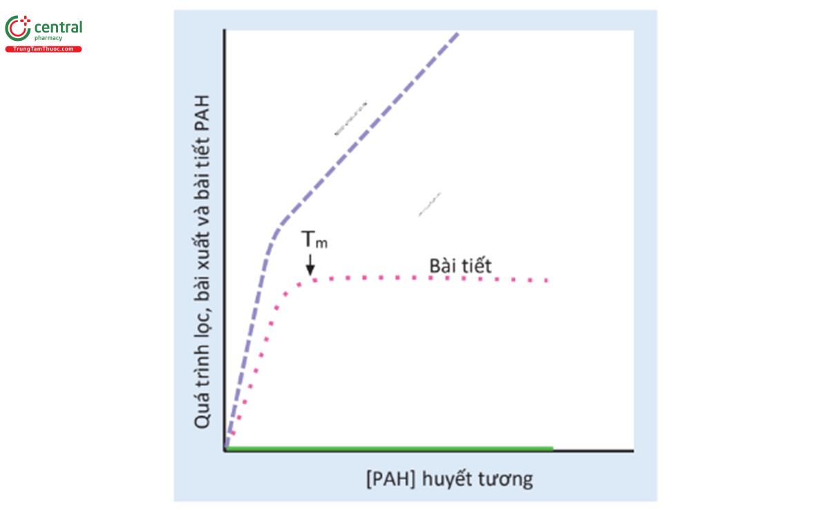 HÌNH 5.6 Đường cong chuẩn độ acid para- aminohippuric (PAH). Quá trình lọc, bài xuất và bài tiết PAH được biểu thị dưới dạng một hàm của [PAH] huyết tương. Tm vận chuyển tối đa.