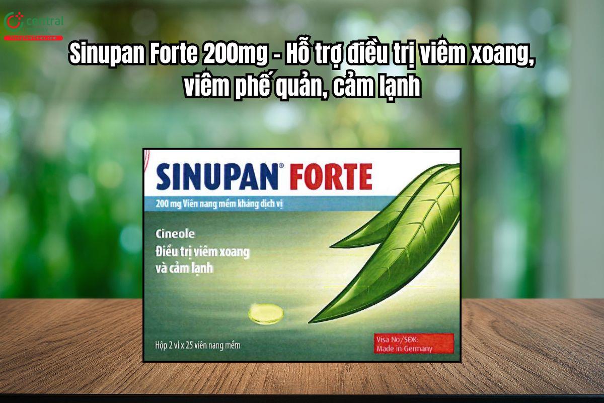 Thuốc Sinupan Forte 200mg điều trị viêm xoang, viêm phế quản