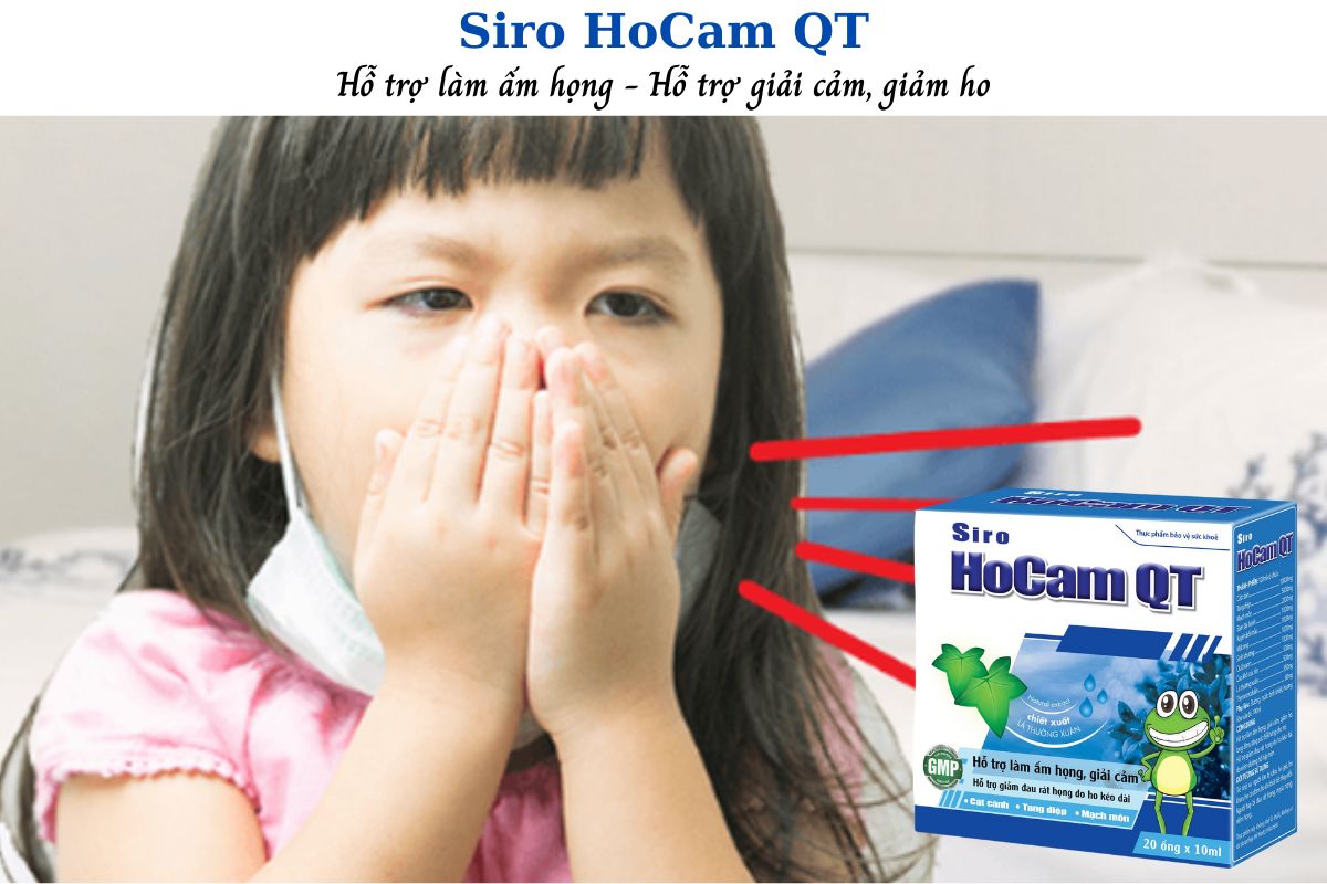 Siro HoCam QT - Hỗ trợ làm ấm họng, giải cảm, giảm ho