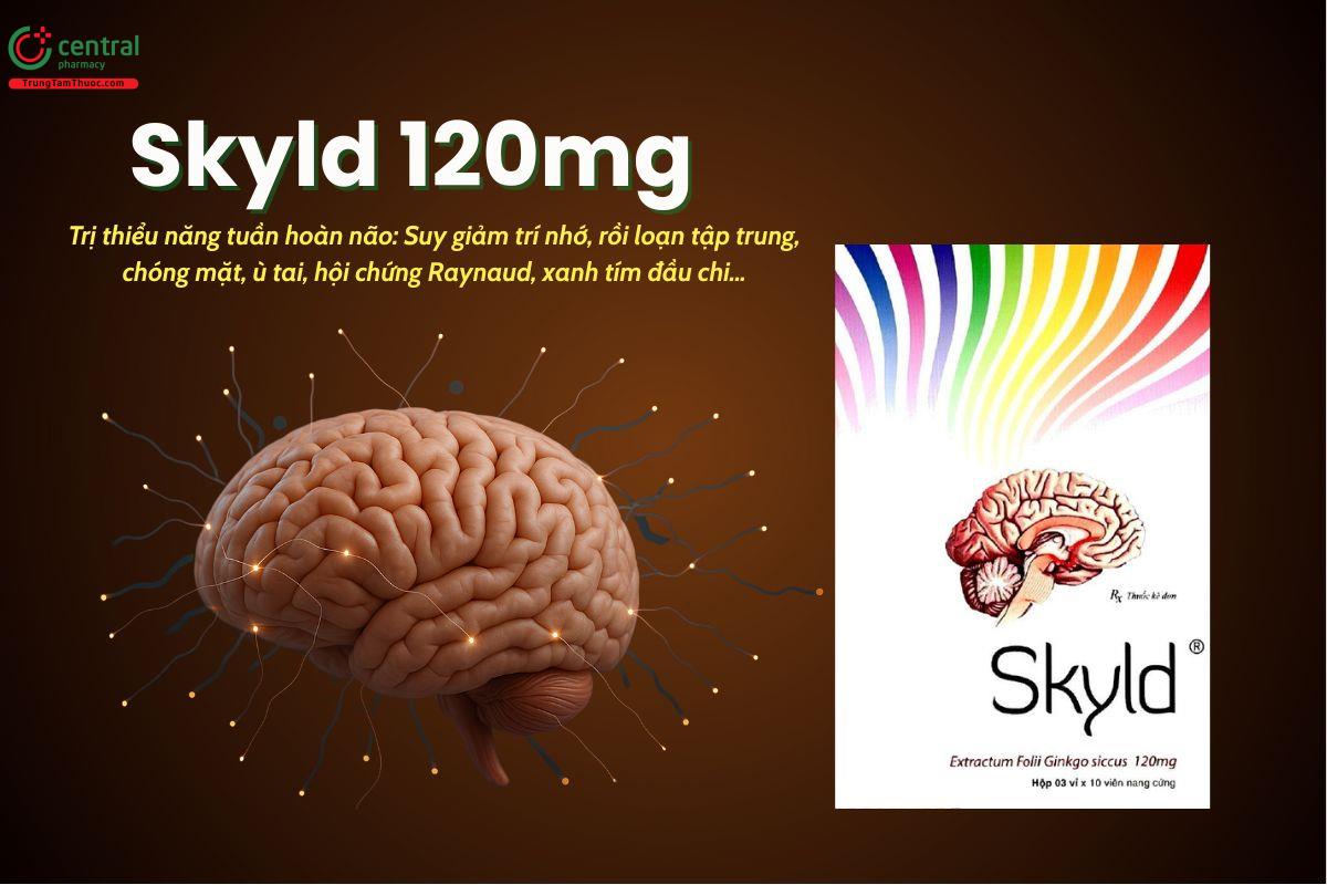 Thuốc Skyld 120mg điều trị suy giảm tuần hoàn, suy giảm trí nhớ