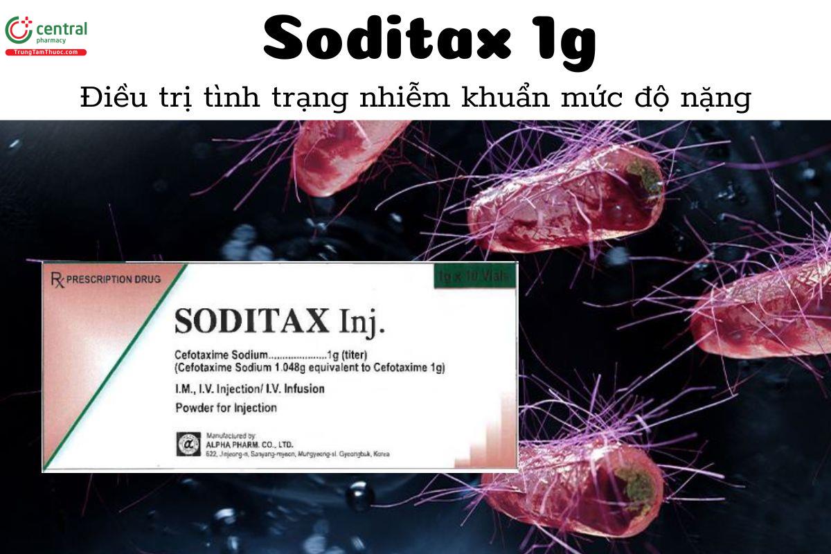 Thuốc Soditax 1g - Điều trị tình trạng nhiễm khuẩn mức độ nặng