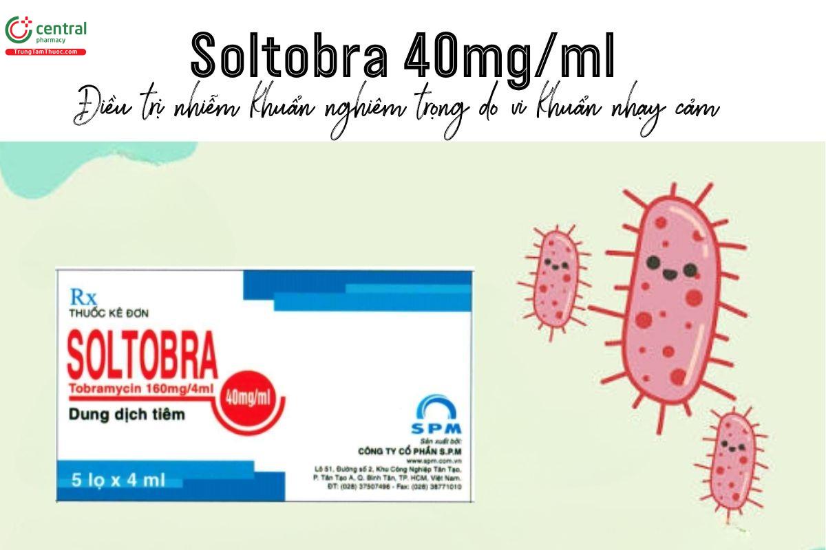 Thuốc Soltobra 40mg/ml - Điều trị nhiễm khuẩn nghiêm trọng do vi khuẩn nhạy cảm