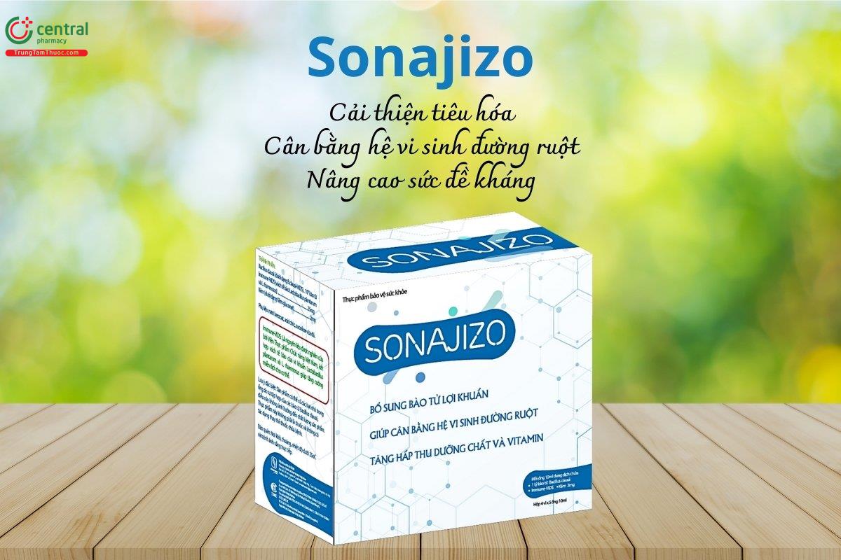 Sonajizo