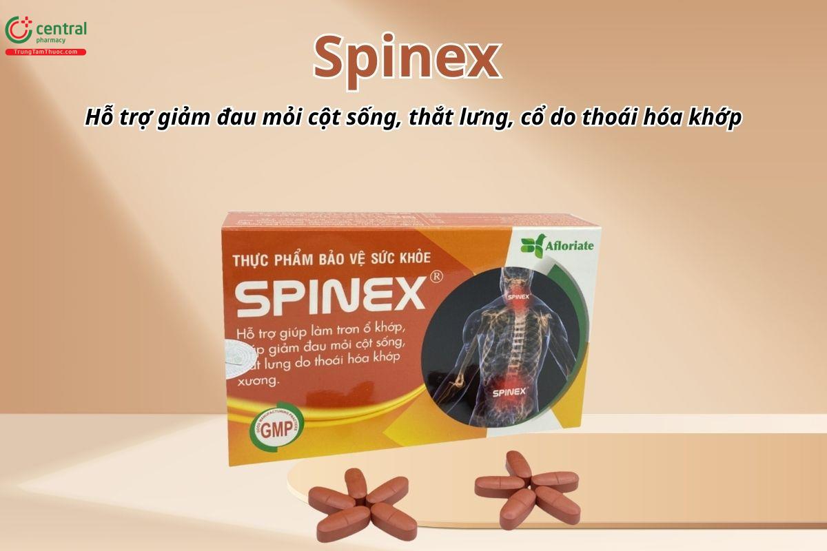 Spinex hỗ trợ giảm đau mỏi cột sống, thắt lưng, cổ do thoái hóa khớp