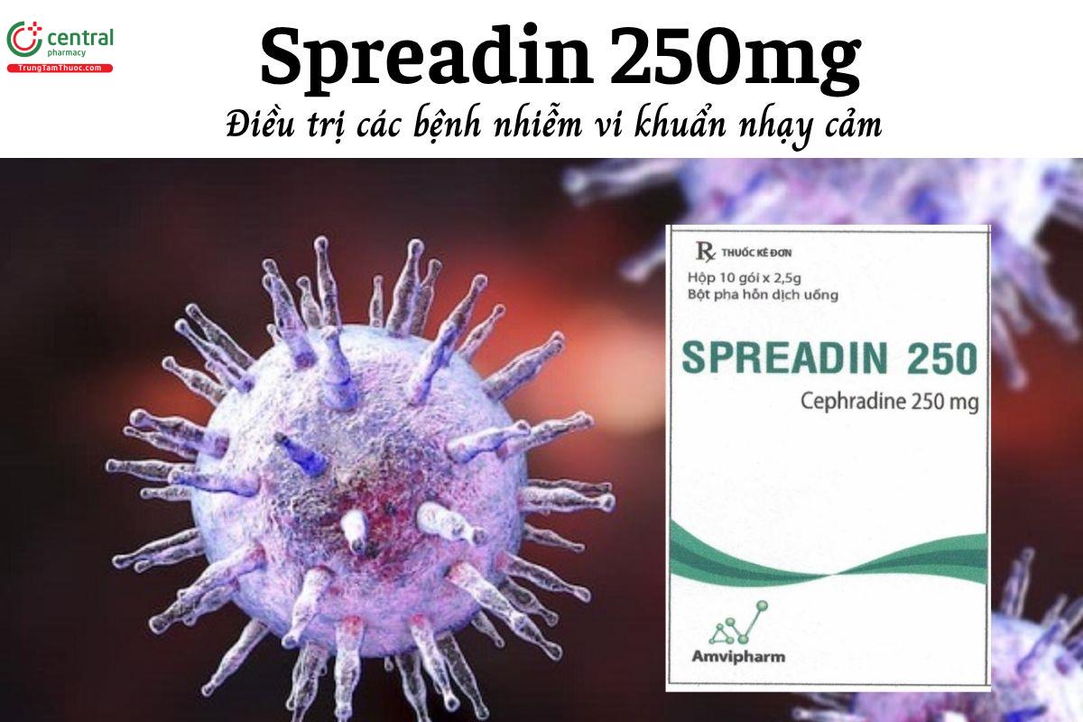 Thuốc Spreadin 250mg - Điều trị các bệnh nhiễm vi khuẩn nhạy cảm 