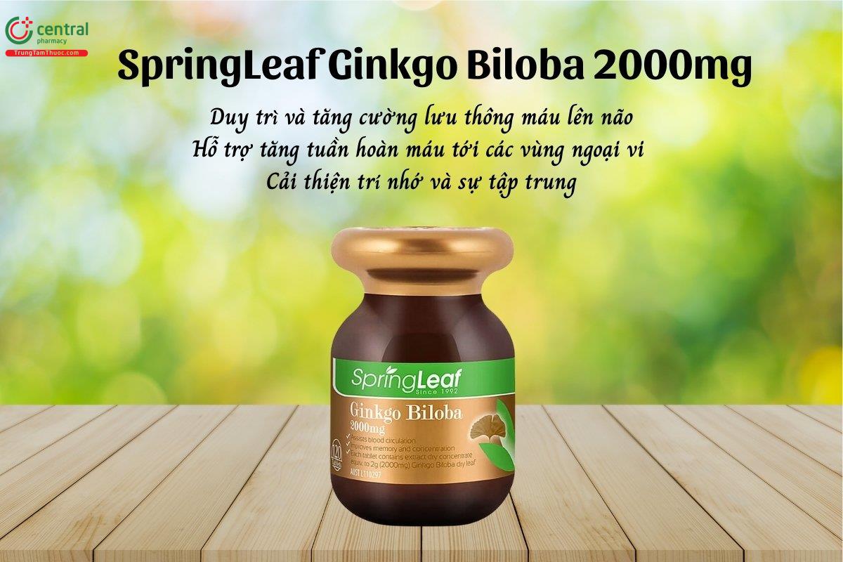 SpringLeaf Ginkgo Biloba 2000mg