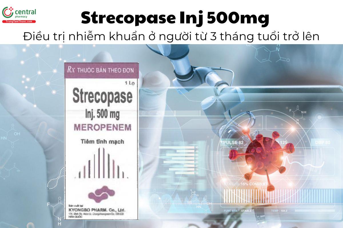 Thuốc Strecopase Inj 500mg - Điều trị nhiễm khuẩn ở người từ 3 tháng tuổi trở lên
