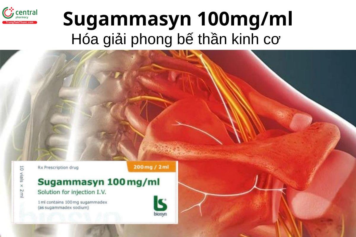 Thuốc Sugammasyn 100mg/ml - Hóa giải phong bế thần kinh cơ 