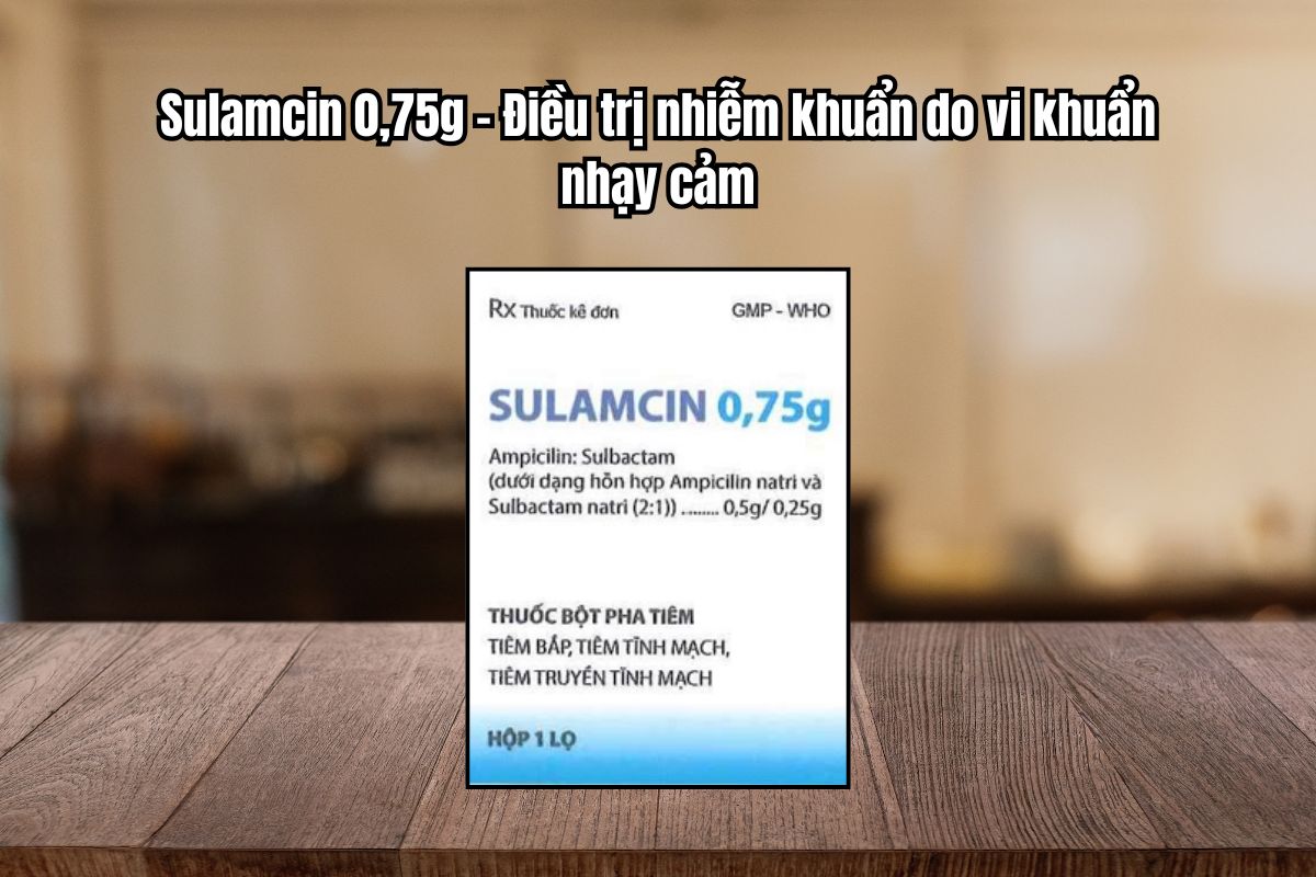 Thuốc Sulamcin 0,75g điều trị nhiễm khuẩn, dự phòng nhiễm khuẩn phẫu thuật