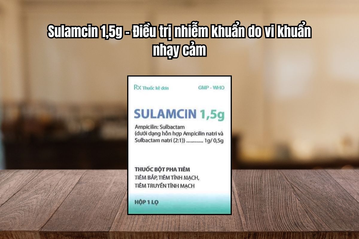 Thuốc Sulamcin 1,5g – Điều trị nhiễm khuẩn do vi khuẩn nhạy cảm