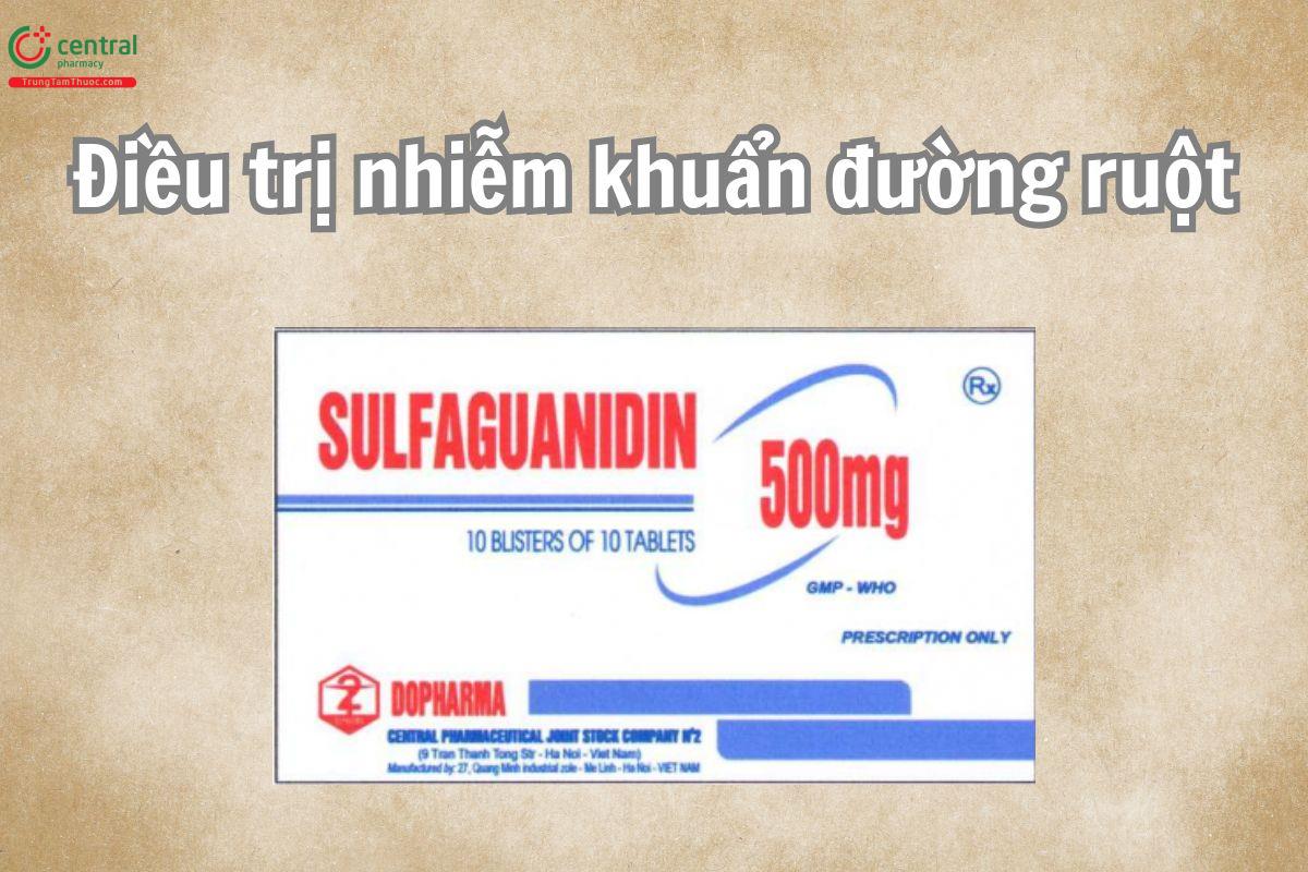 Thuốc Sulfaguanidin 500mg được sử dụng để điều trị nhiễm khuẩn đường ruột như lỵ trực khuẩn