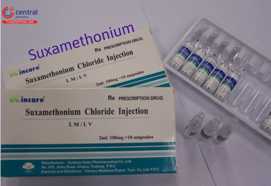 Thuốc có tác dụng chẹn thần kinh - cơ Suxamethonium
