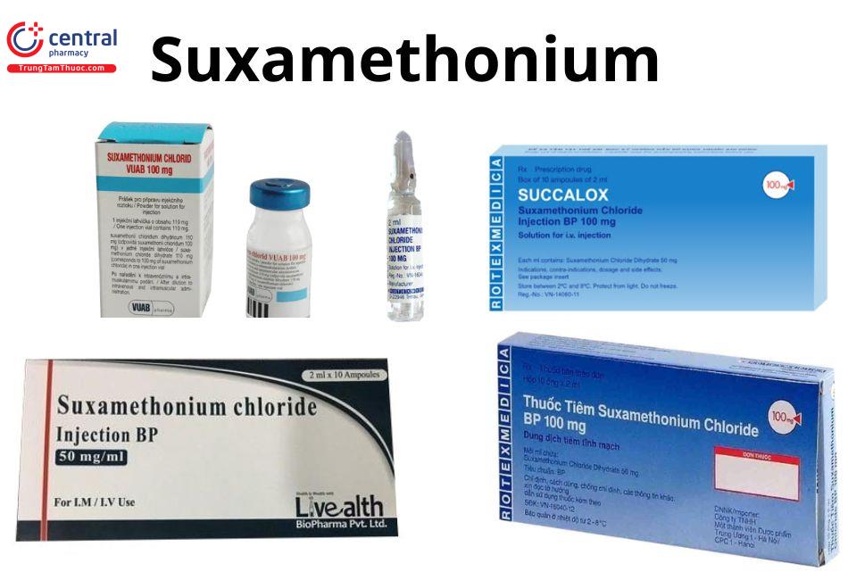 Thuốc có tác dụng chẹn thần kinh - cơ Suxamethonium