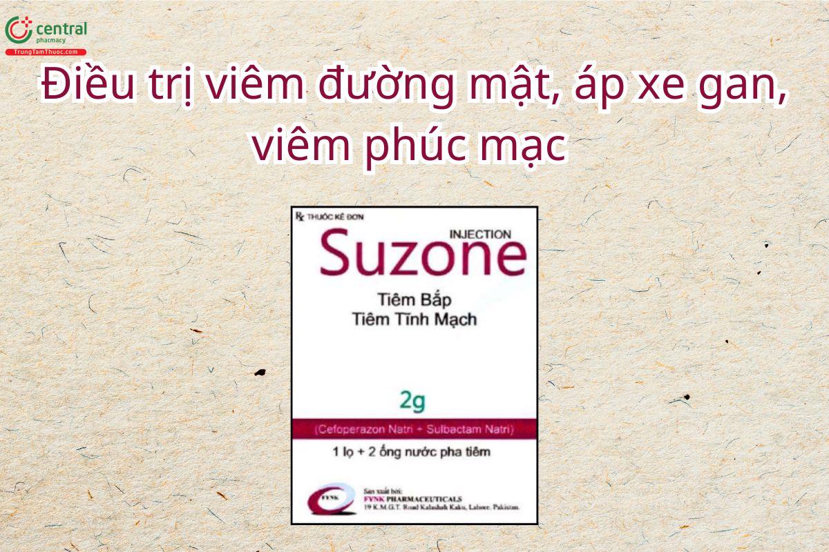 Thuốc Suzone Injection điều trị nhiễm trùng đường hô hấp dưới và trên