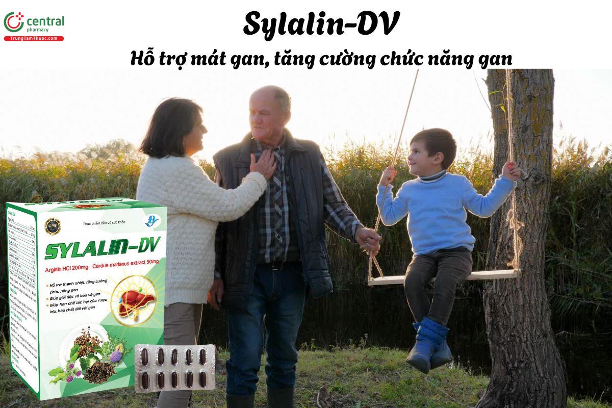 Sylalin-DV - Giúp làm mát gan, tăng cường chức năng gan