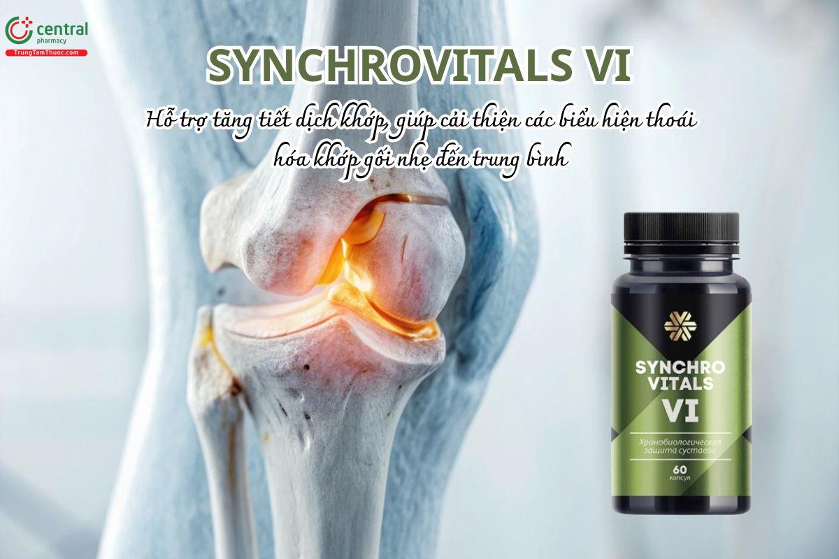 Synchrovitals VI bổ sung Glucosamine, Chondroitin hỗ trợ cải thiện thoái hóa khớp gối