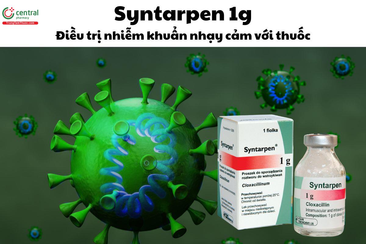 Thuốc Syntarpen 1g - Điều trị các nhiễm khuẩn do tụ cầu