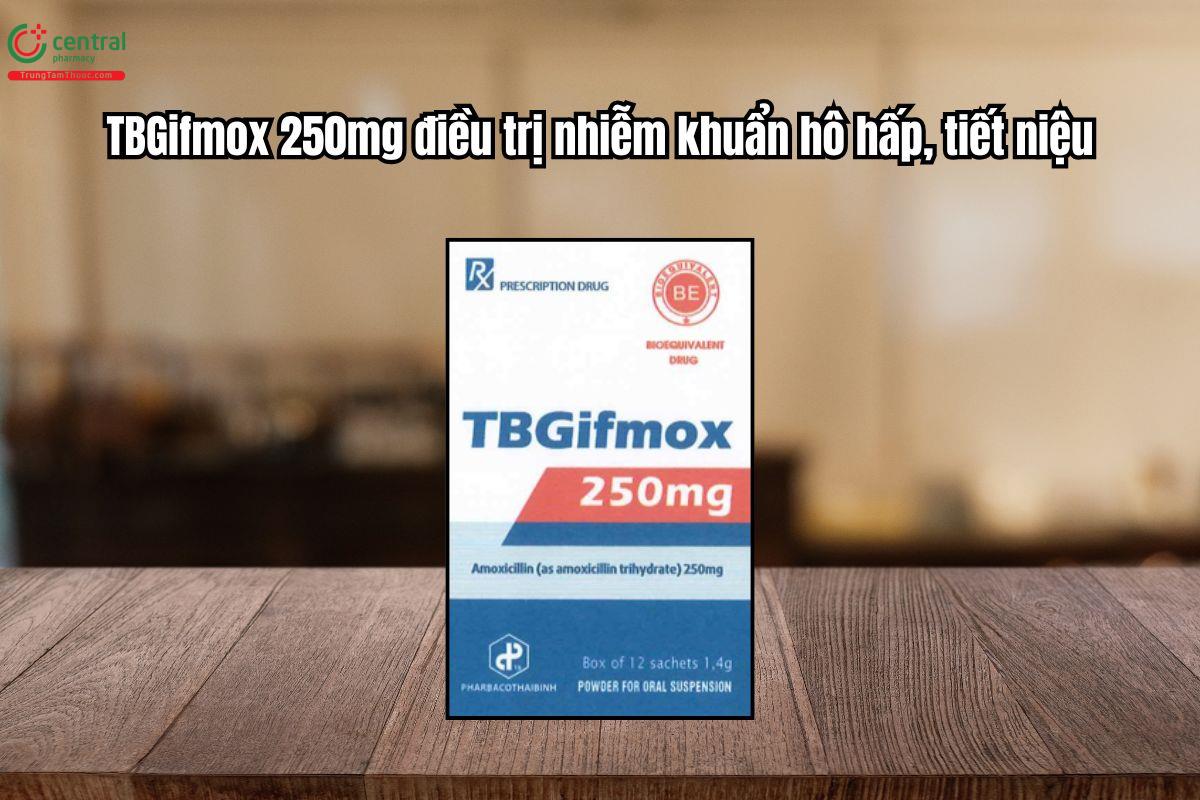 Thuốc TBGifmox 250mg điều trị nhiễm khuẩn hô hấp, tiết niệu