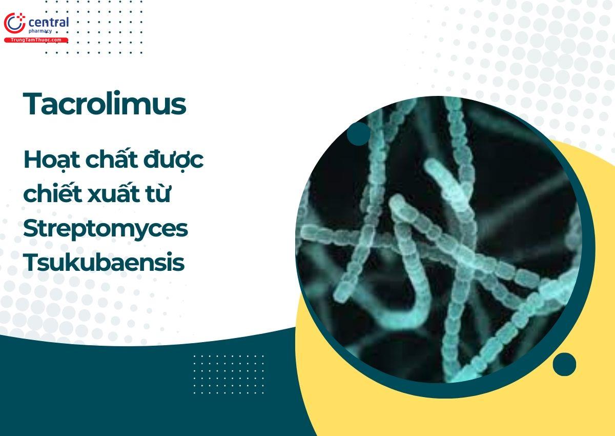 Tacrolimus là một macrolid (macrolactam) chiết xuất từ Streptomyces tsukubaensis