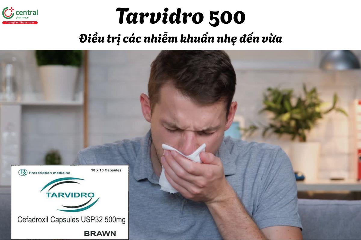 Thuốc Tarvidro 500 - Điều trị các nhiễm khuẩn đường hô hấp, tiết niệu