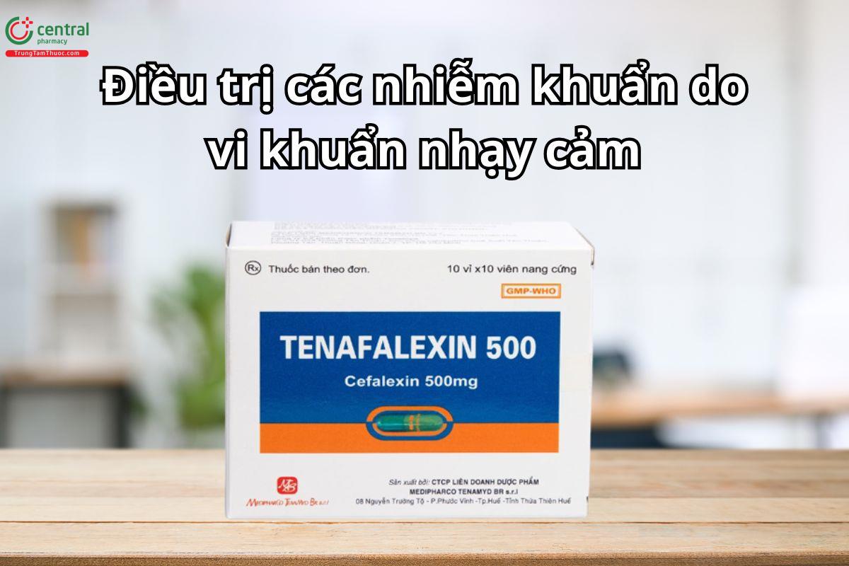 Thuốc Tenafalexin 500 thành phần Cefalexin sử dụng điều trị nhiễm khuẩn do vi khuẩn nhạy cảm