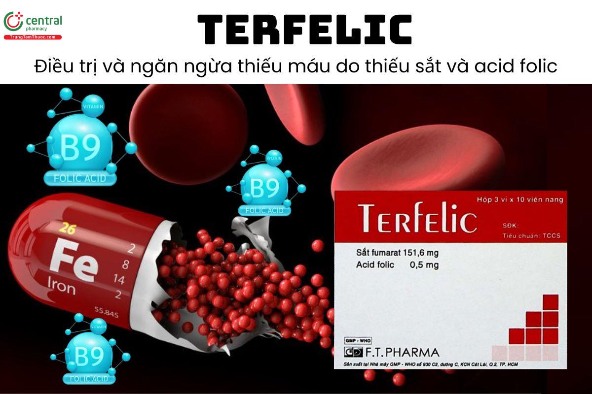 Thuốc Terfelic - Điều trị và ngăn ngừa thiếu máu do thiếu sắt và acid folic