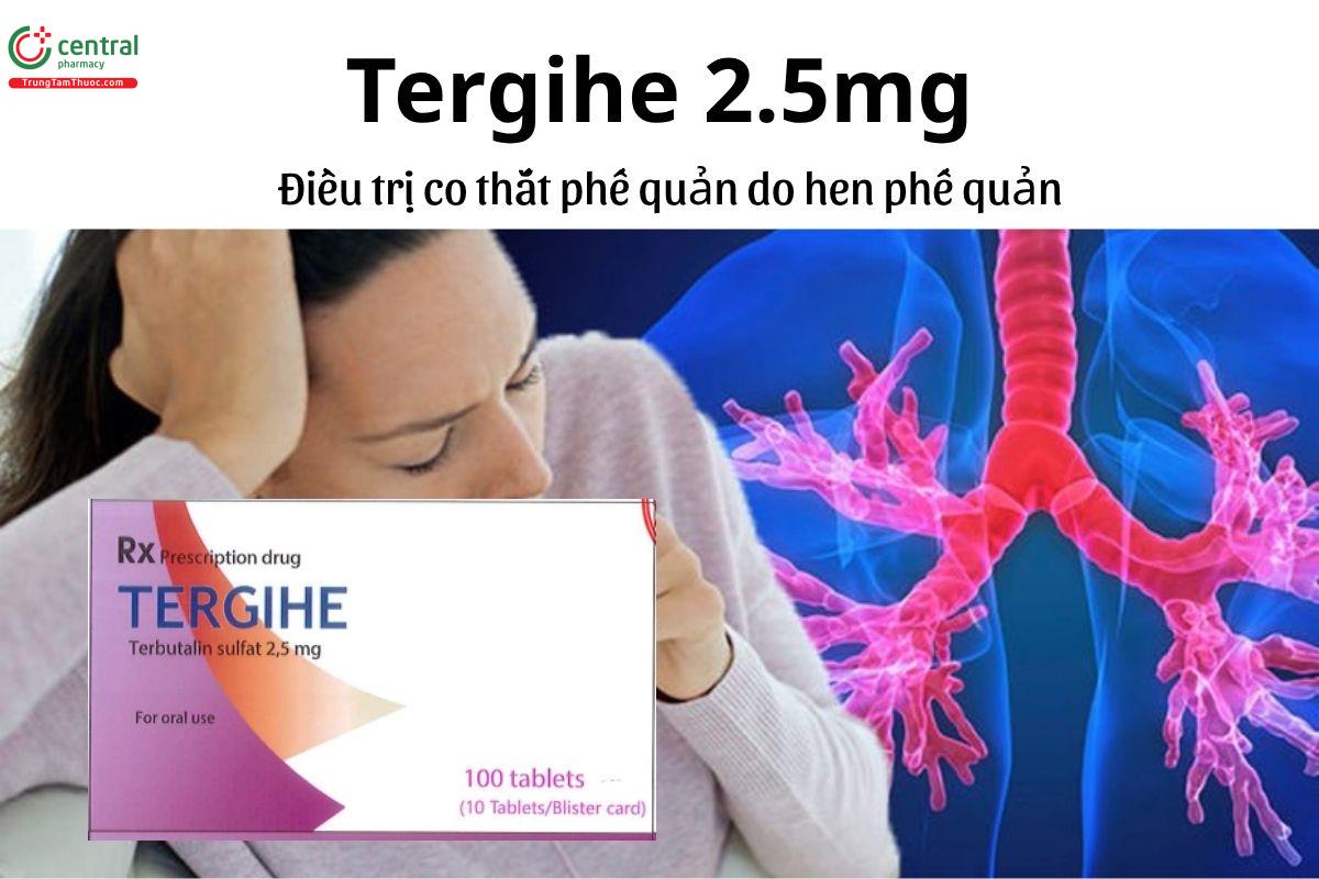 Thuốc Tergihe 2.5mg - Điều trị co thắt phế quản do hen phế quản