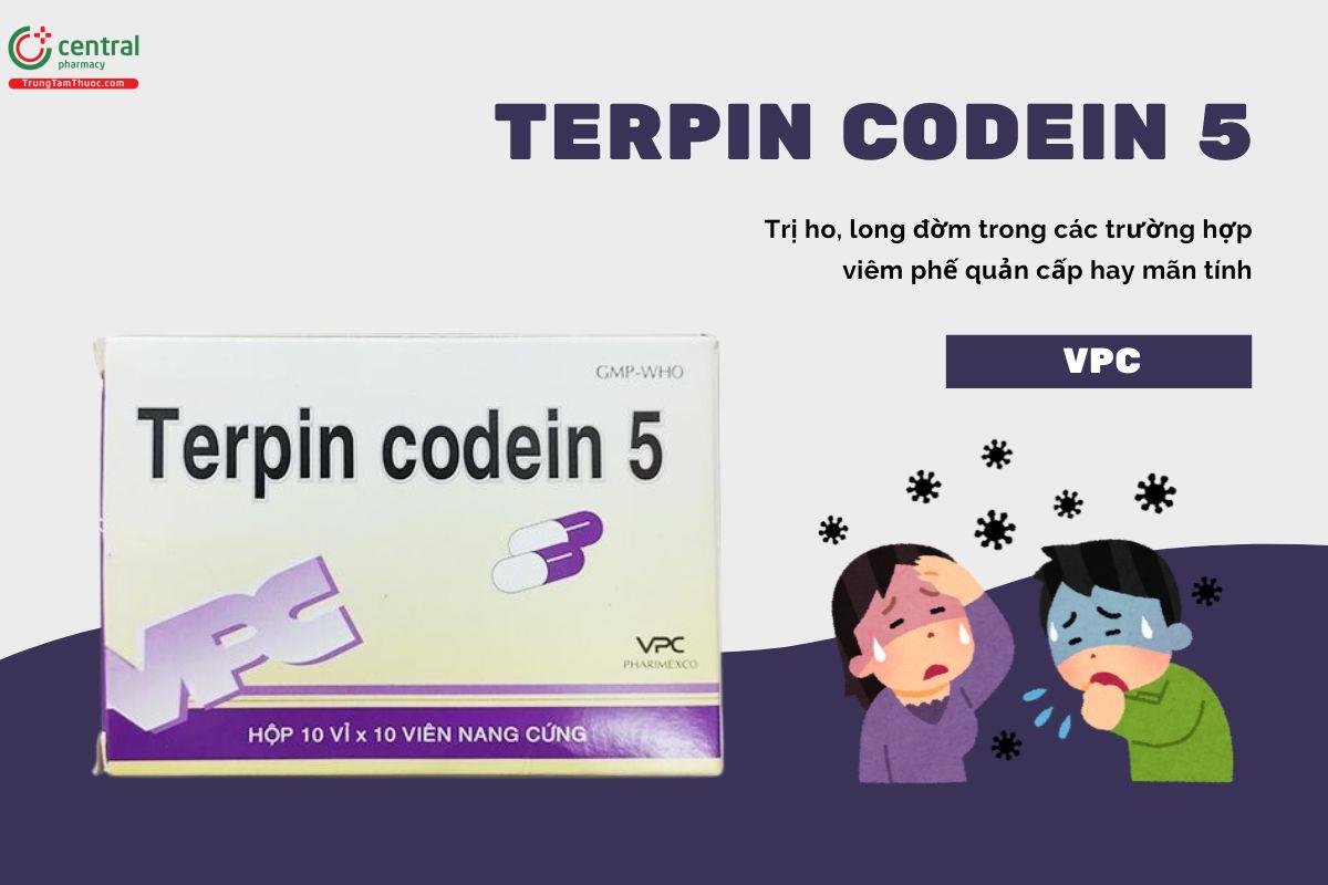 Thuốc Terpin Codein 5 PVC giải pháp cắt cơn ho, giảm đờm nhanh chóng