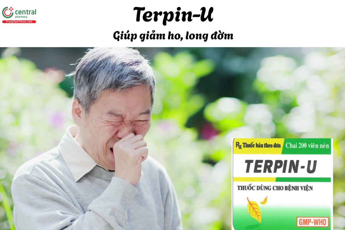 Thuốc Terpin-U - Giảm ho, long đờm trong trường hợp ho khan, có đờm