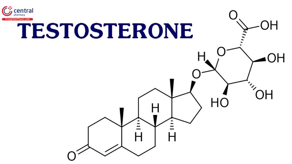 Hình ảnh cấu trúc Testosterone