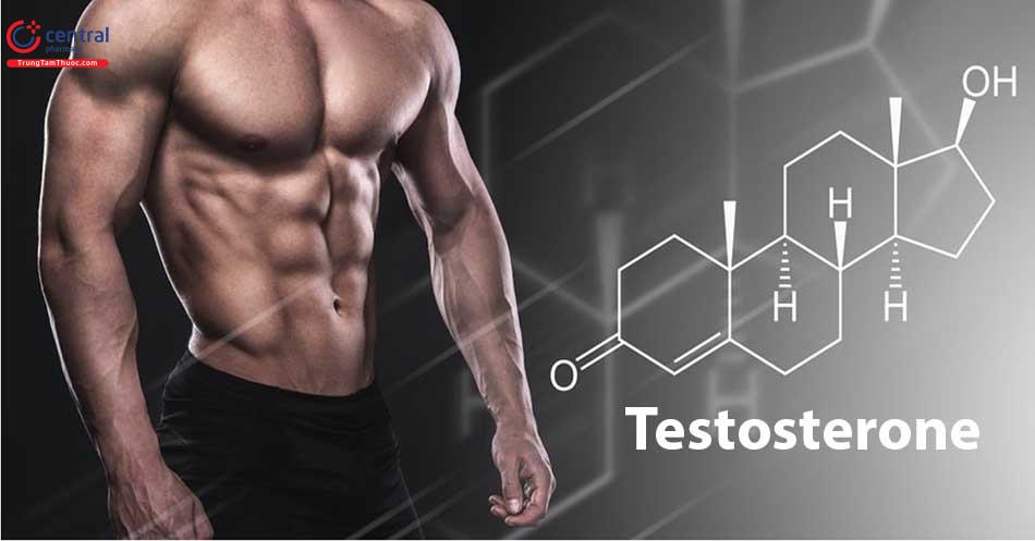 Testosterone được xem là chìa khóa vàng cho sức khỏe của phái mạnh
