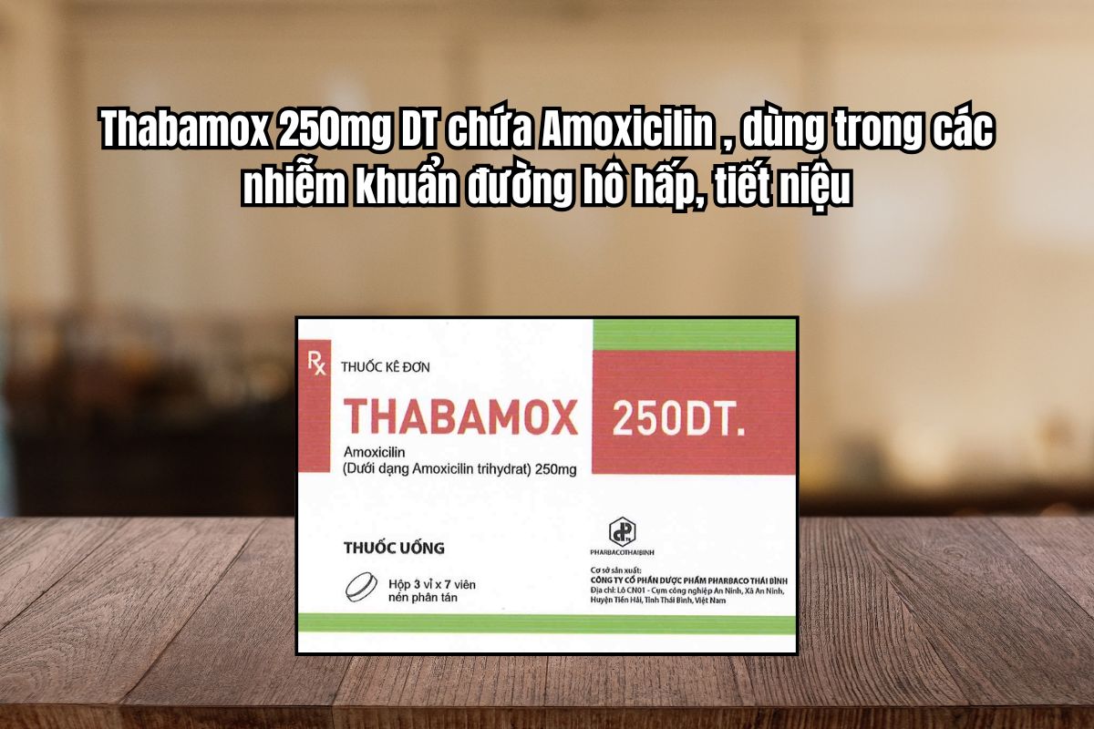 Thuốc Thabamox 250mg DT điều trị nhiễm khuẩn hô hấp, da - mô mềm