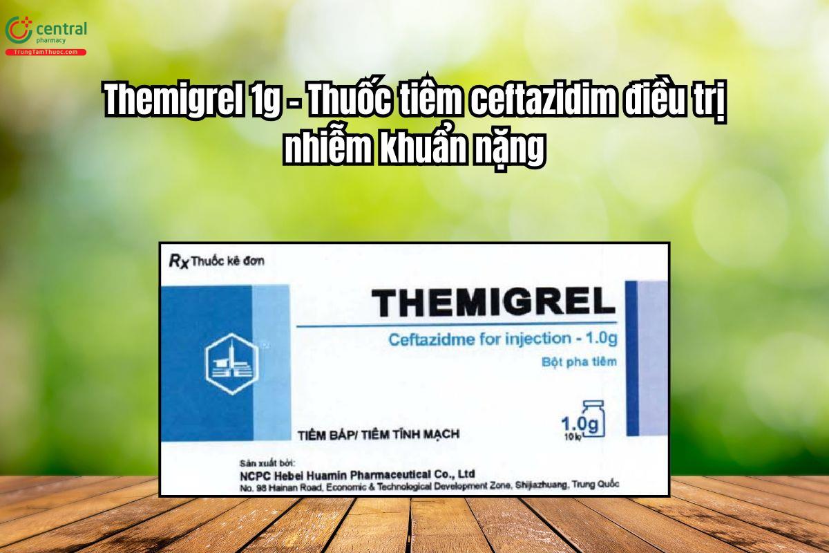 Thuốc Themigrel 1g điều trị nhiễm khuẩn nặng, viêm phổi, viêm màng não