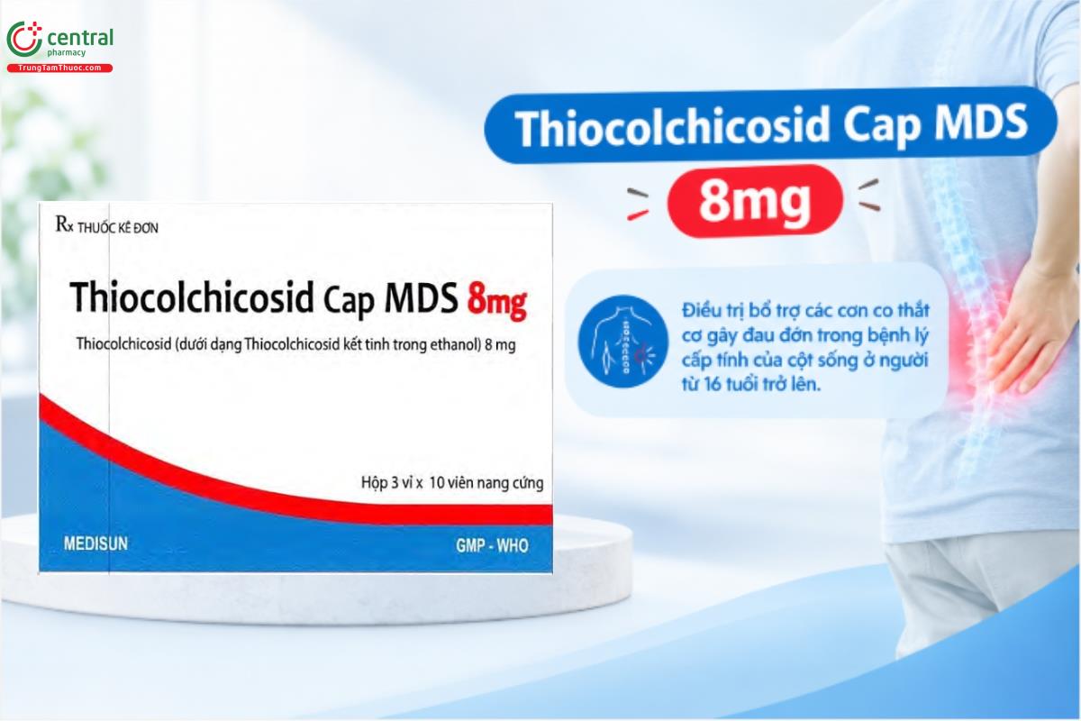 Thuốc Thiocolchicosid Cap MDS 8mg điều trị bổ trợ các cơn co thắt cơ gây đau đớn trong bệnh lý cấp tính của cột sống ở người từ 16 tuổi trở lên
