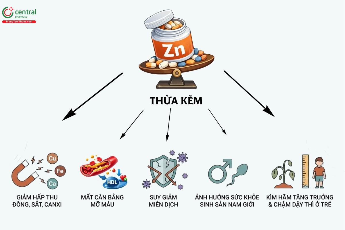 Bổ sung kẽm liên tục có thể gây hại