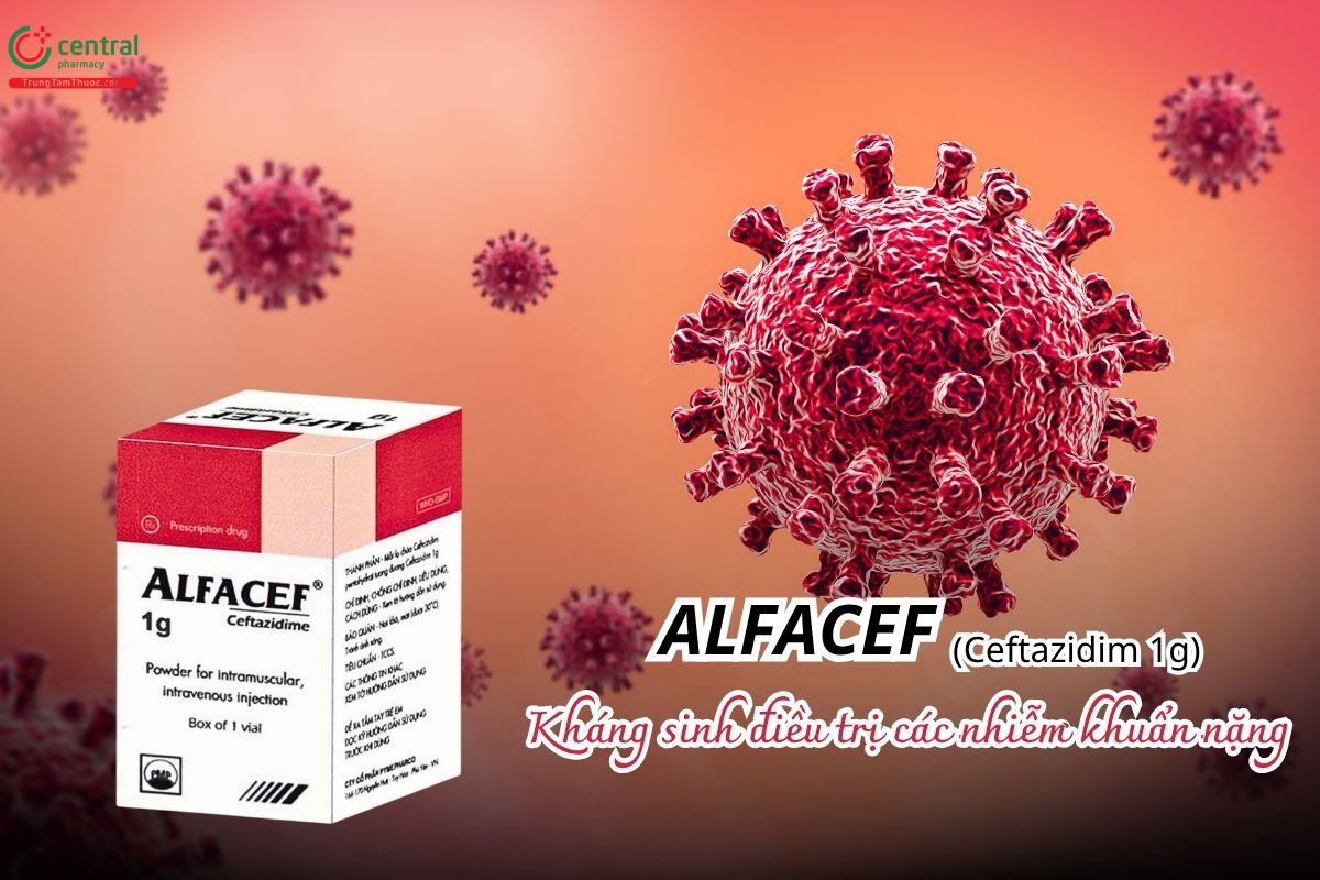 Thuốc Alfacef 1g dùng điều trị các nhiễm khuẩn nặng do vi khuẩn nhạy cảm gây ra