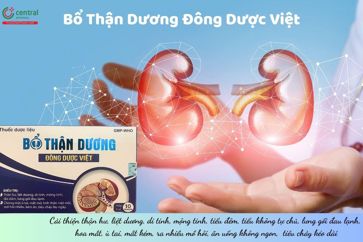 Thuốc Bổ Thận Dương Đông Dược Việt