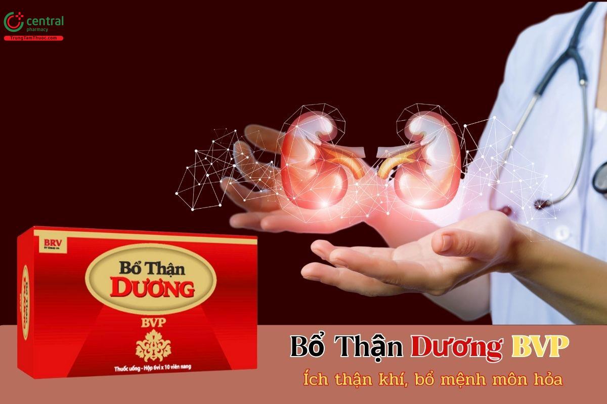 Thuốc Thận Dương - BVP giúp ích thận khí, bổ mệnh môn hỏa