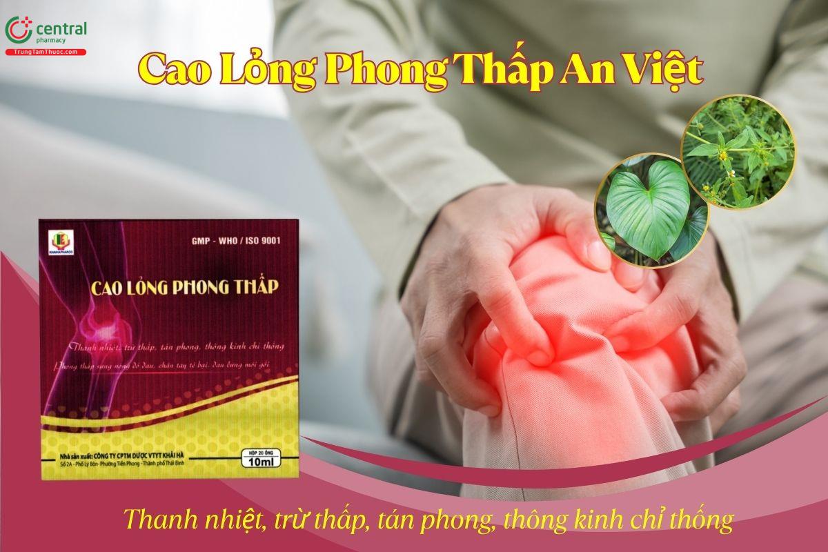 Thuốc Cao Lỏng Phong Thấp An Việt giúp thanh nhiệt, trừ thấp, tán phong, thông kinh chỉ thống