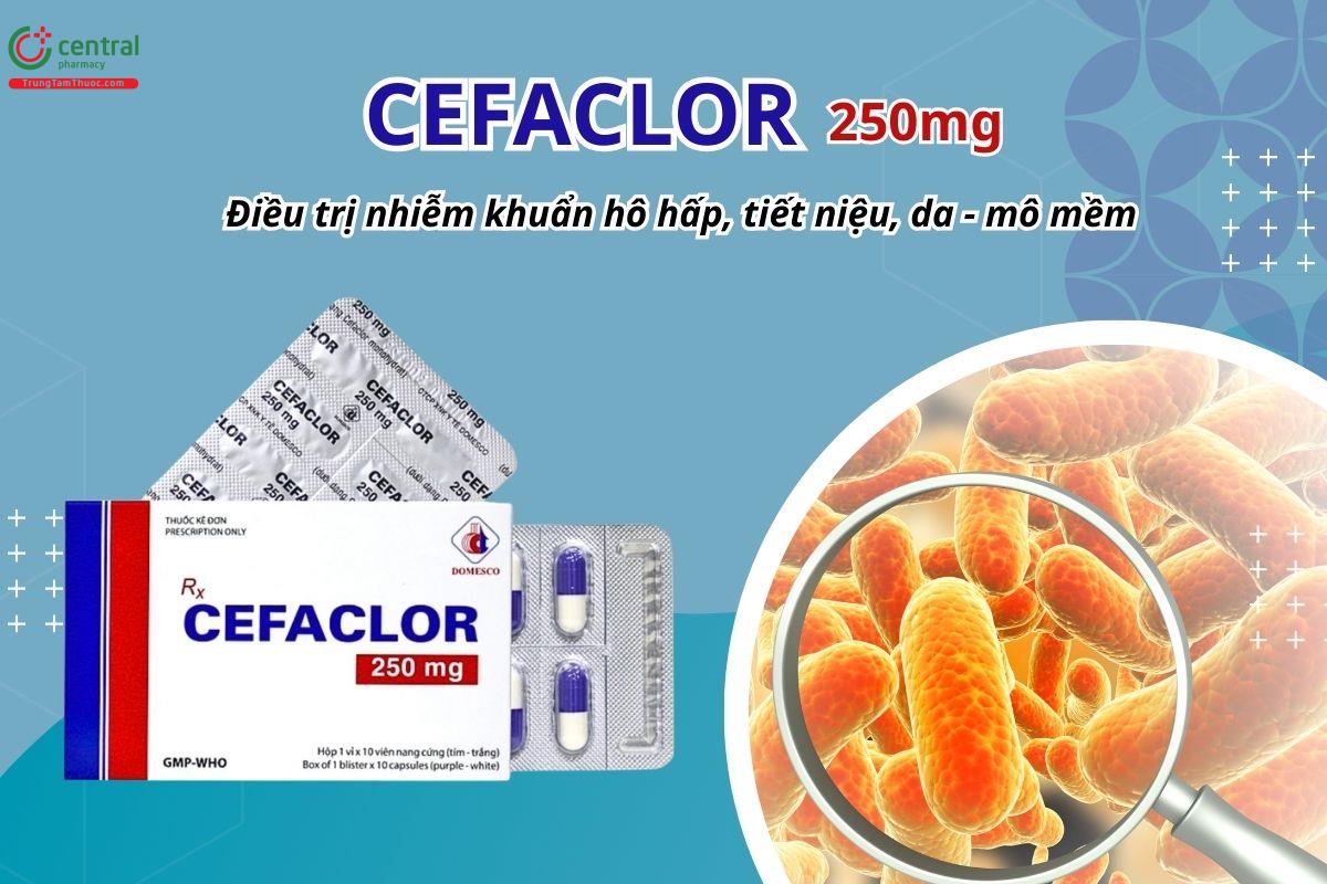 Thuốc Cefaclor 250mg Domesco điều trị nhiễm khuẩn đường hô hấp, tiết niệu, da và mô mềm