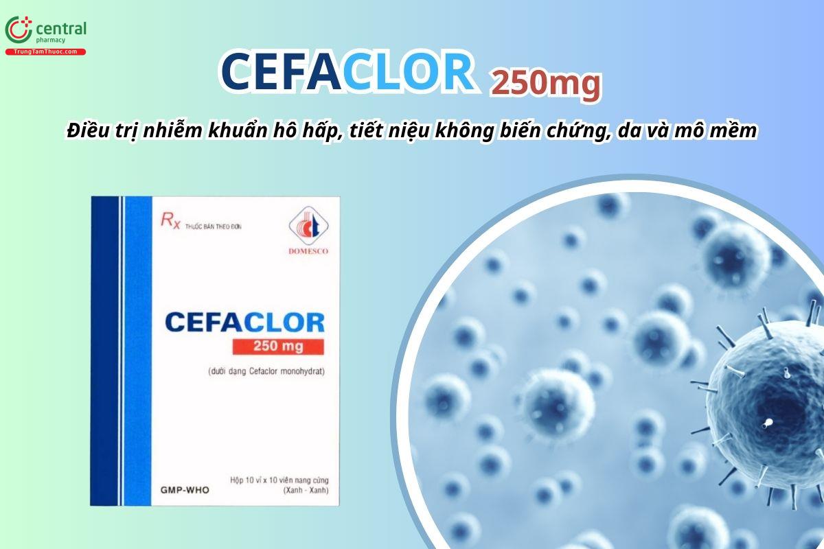 Thuốc Cefaclor 250mg Domesco (viên nang cứng xanh-xanh) điều trị nhiễm khuẩn hô hấp, tiết niệu không biến chứng, da và mô mềm