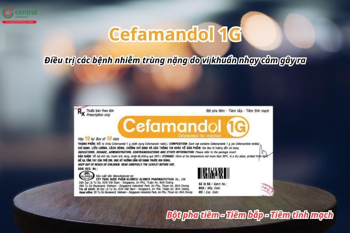 Thuốc Cefamandol 1g Glomed điều trị các bệnh nhiễm trùng nặng do vi khuẩn nhạy cảm gây ra