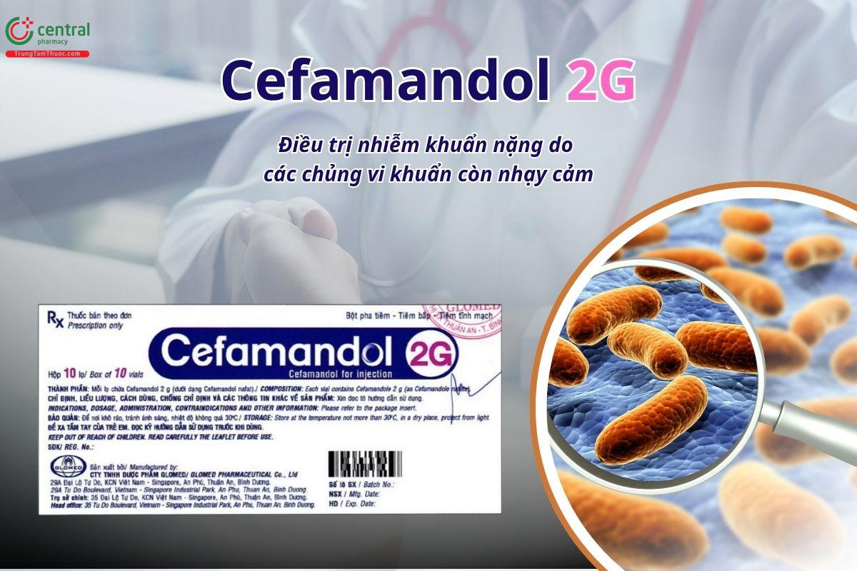 Thuốc Cefamandol 2g Glomed điều trị nhiễm khuẩn nặng do các chủng vi khuẩn còn nhạy cảm