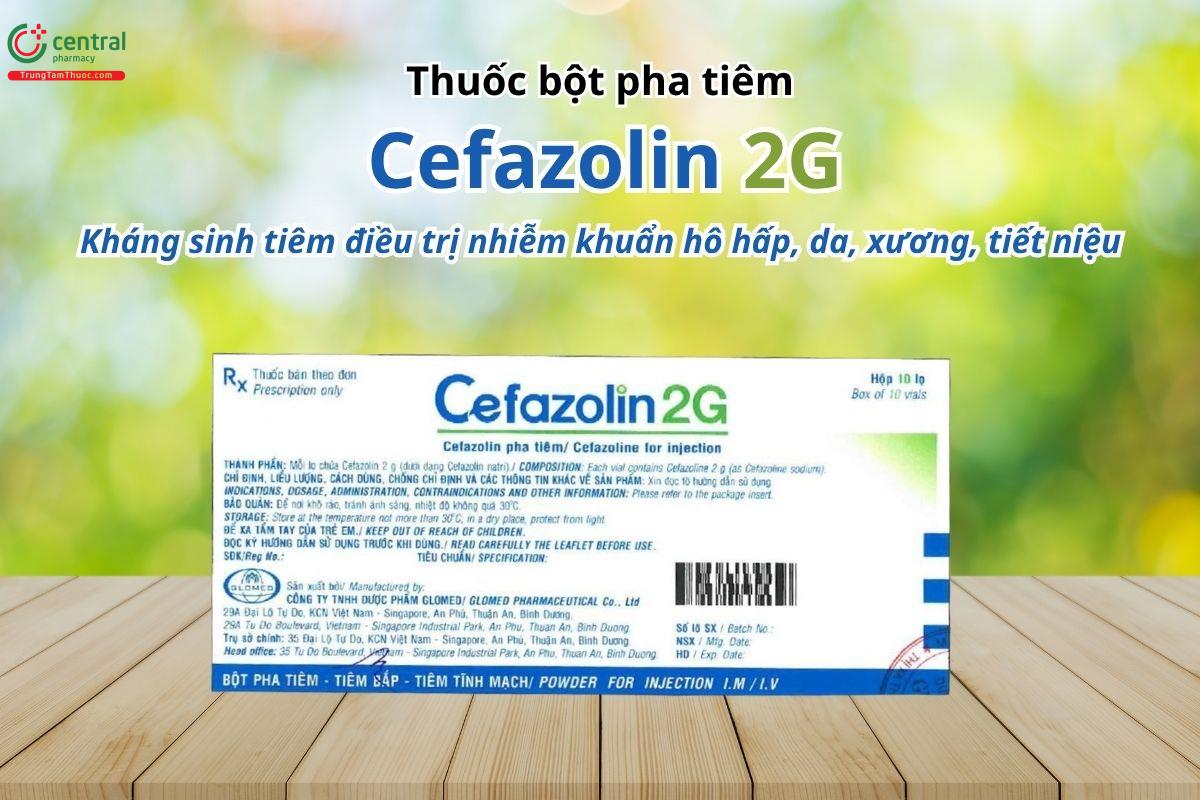 Thuốc Cefazolin 2g Glomed - Kháng sinh tiêm điều trị nhiễm khuẩn hô hấp, da, xương, tiết niệu