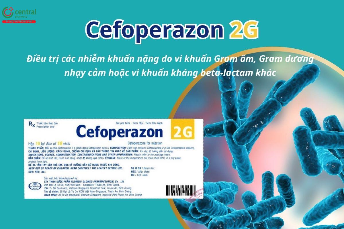 Thuốc Cefoperazon 2g Glomed điều trị các nhiễm khuẩn nặng do vi khuẩn Gram âm, Gram dương nhạy cảm hoặc vi khuẩn kháng beta-lactam khác