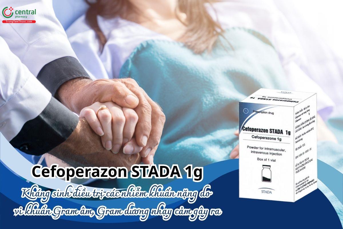 Thuốc Cefoperazon Stada 1g - Kháng sinh điều trị các nhiễm khuẩn nặng do  vi khuẩn Gram âm, Gram dương nhạy cảm gây ra