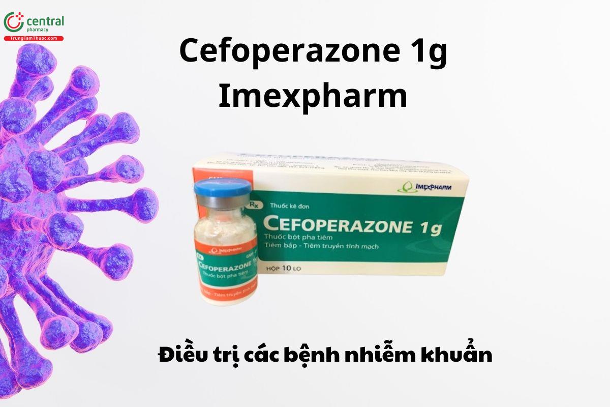 Thuốc Cefoperazone 1g Imexpharm 