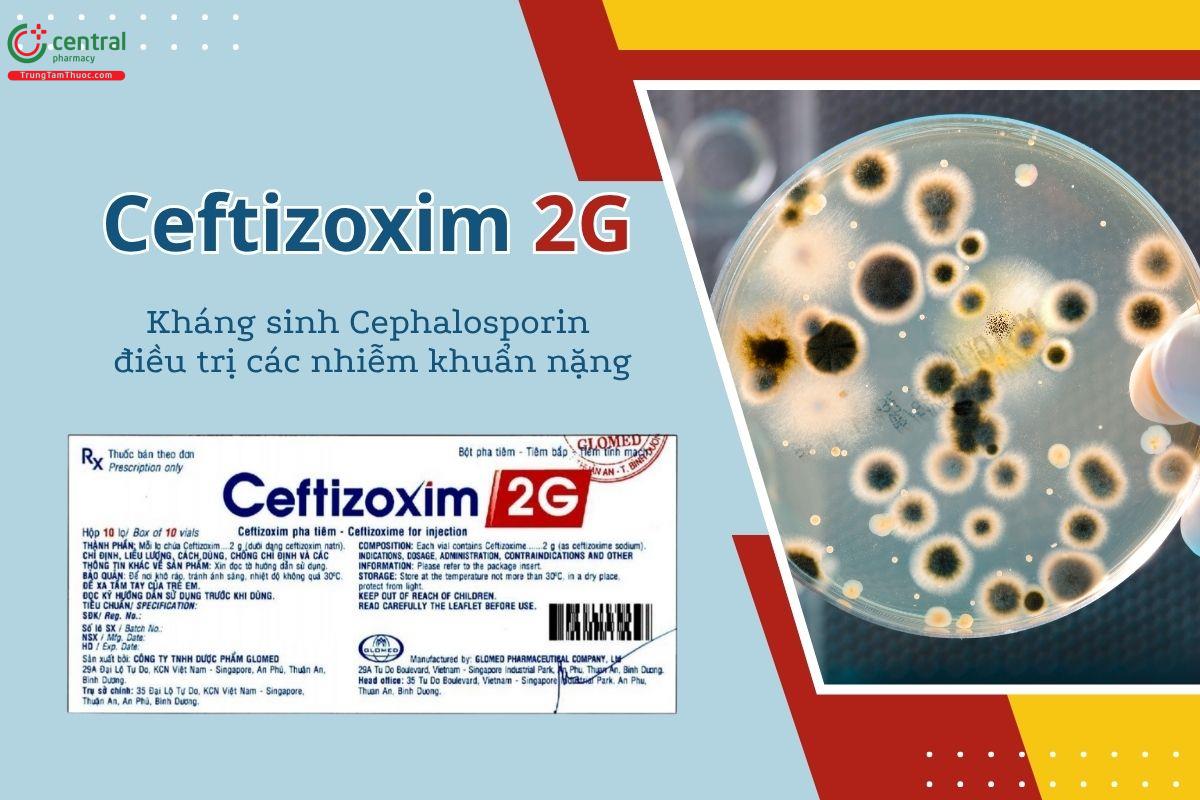 Thuốc Ceftizoxim 2g Glomed - Kháng sinh Cephalosporin điều trị các nhiễm khuẩn nặng