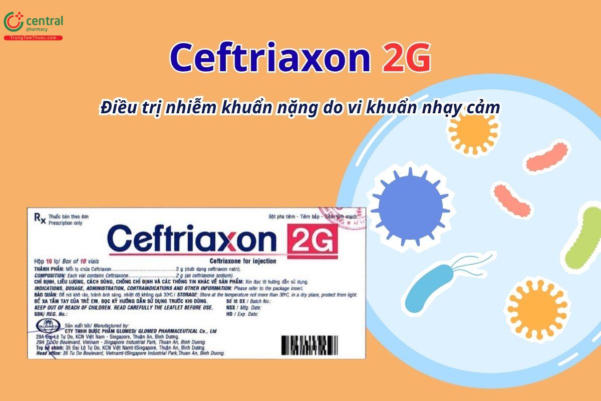 Thuốc Ceftriaxon 2g Glomed điều trị nhiễm khuẩn nặng do vi khuẩn nhạy cảm