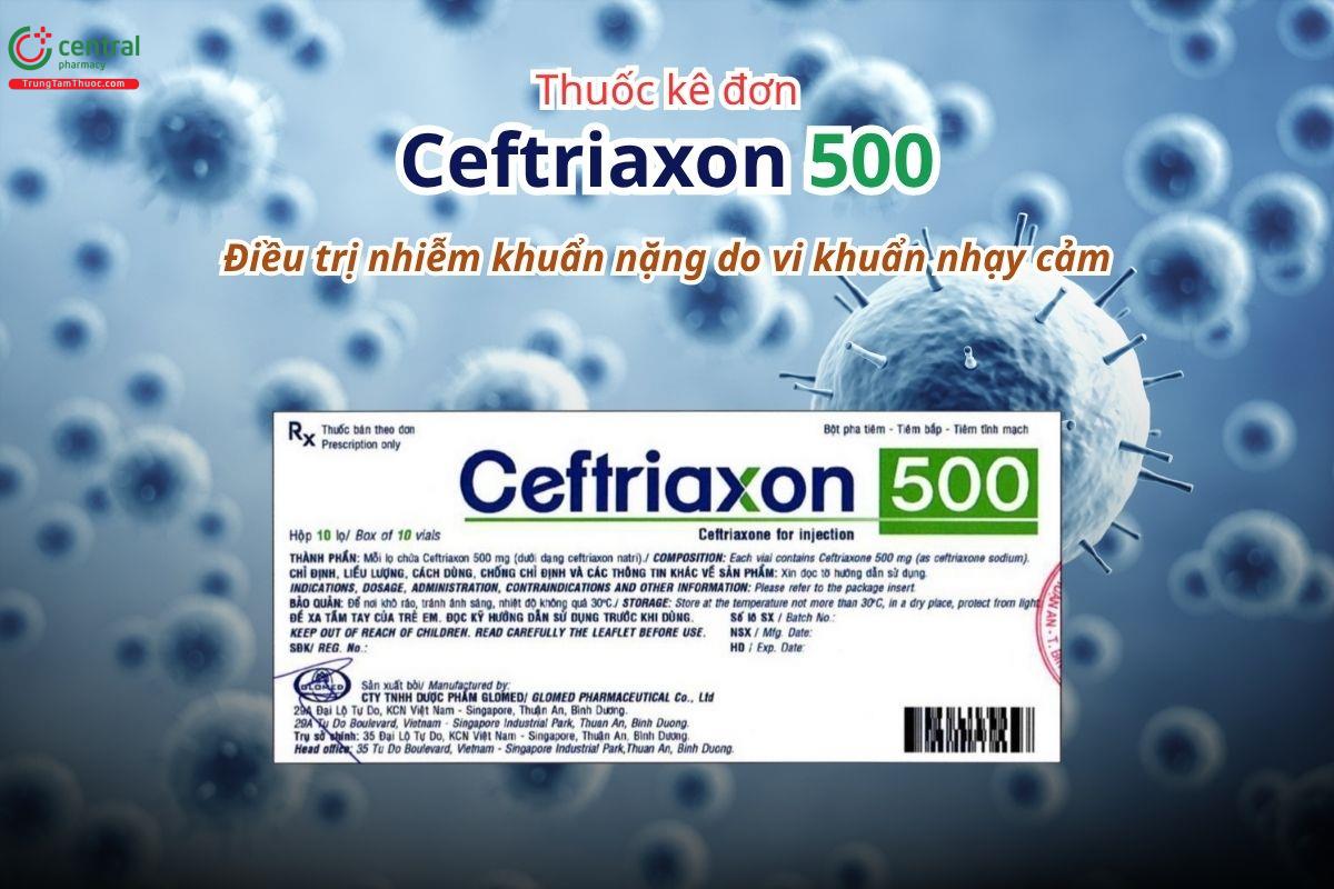 Thuốc Ceftriaxon 500mg Glomed điều trị nhiễm khuẩn nặng do vi khuẩn nhạy cảm